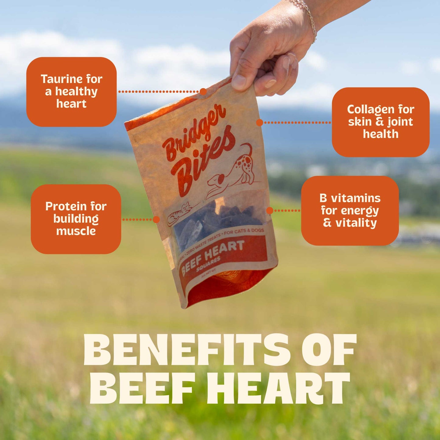 BEEF HEART