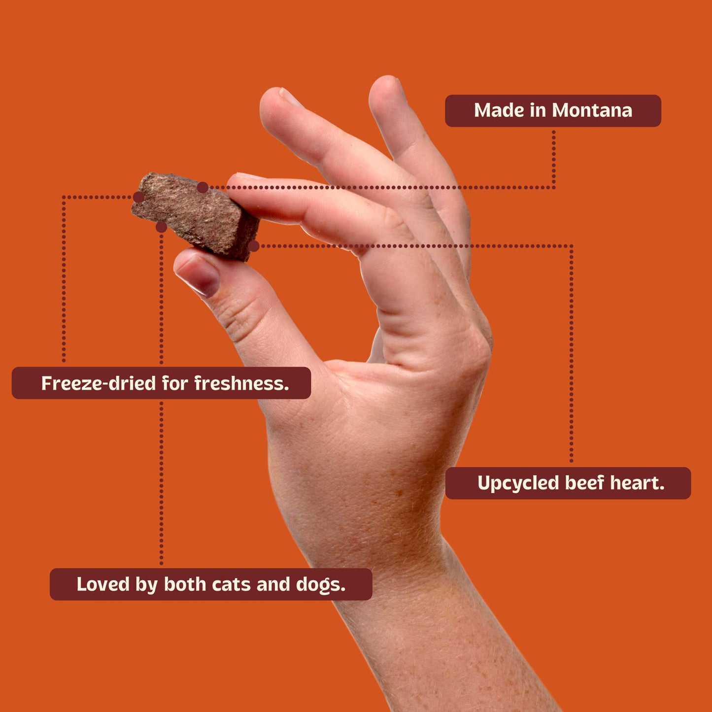 BEEF HEART