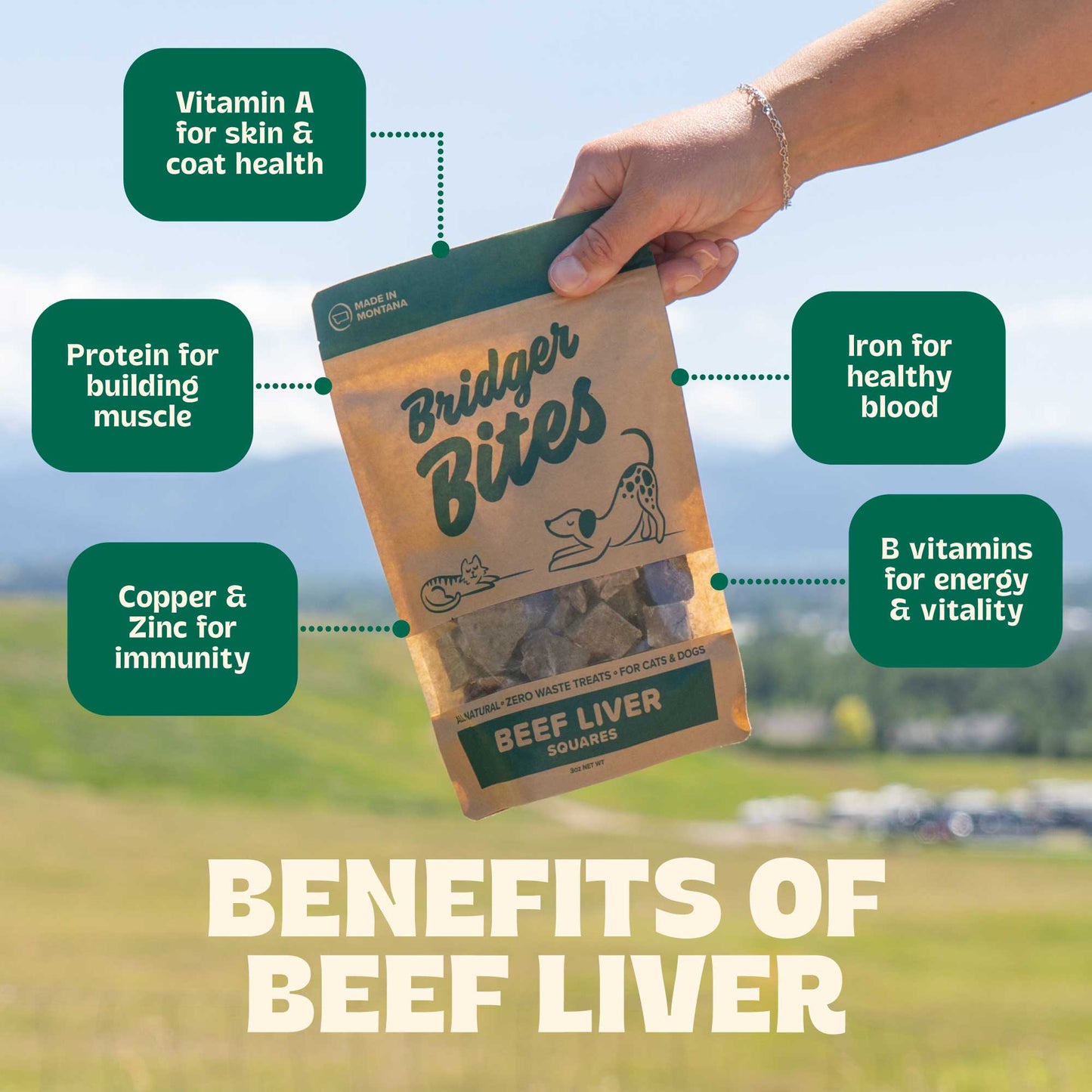 BEEF LIVER