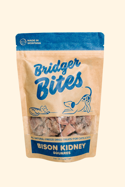 Bison Kidney