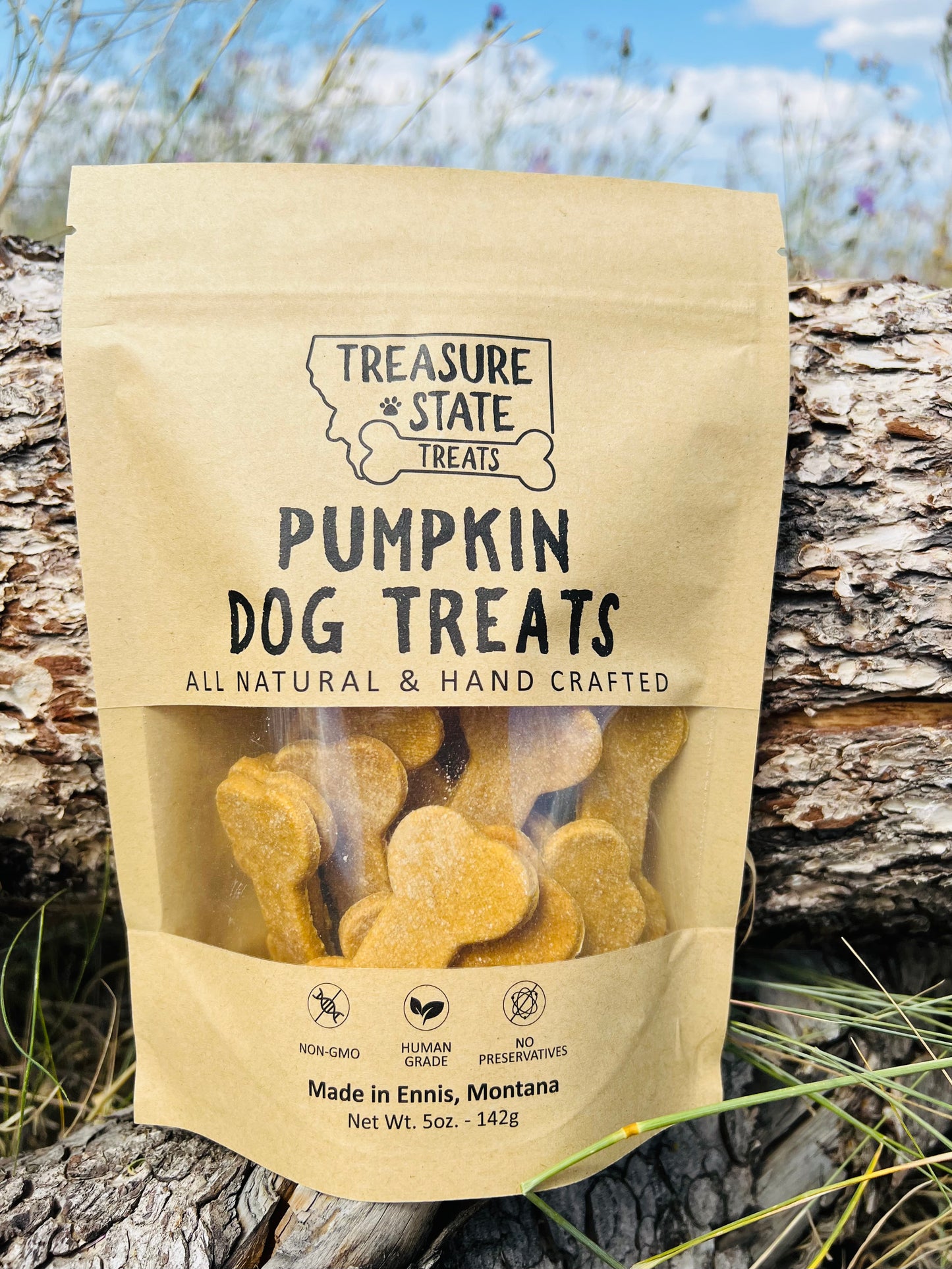 Treasure State Treats Pumpkin